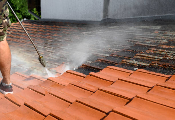 Best Roof Power Washing Services  in Ponchatou, LA