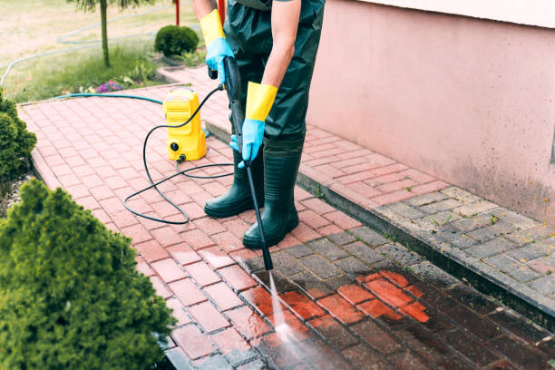 Best Exterior Home Cleaning  in Ponchatou, LA