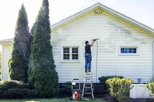 Trusted Ponchatoula, LA Pressure Washing Experts